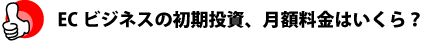 ECビジネスの初期投資、月額料金はいくら?